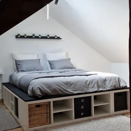 Apartment Cozy
