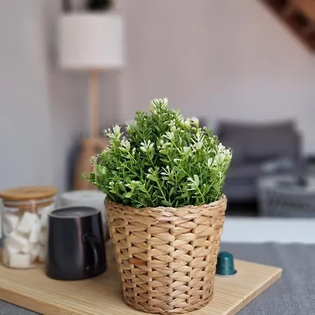 Apartment Cozy
