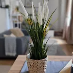 Lejlighed Cozy