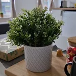 Lejlighed Cozy *