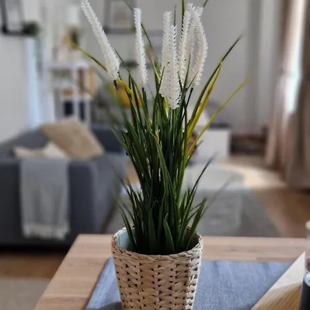 Апартаменты Cozy