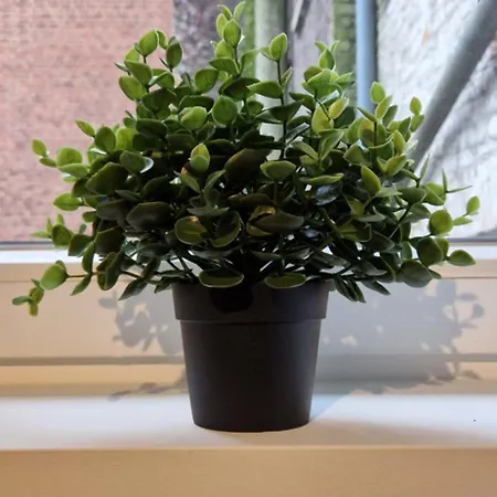 Апартаменты Cozy