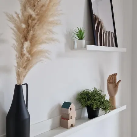 Apartment Cozy