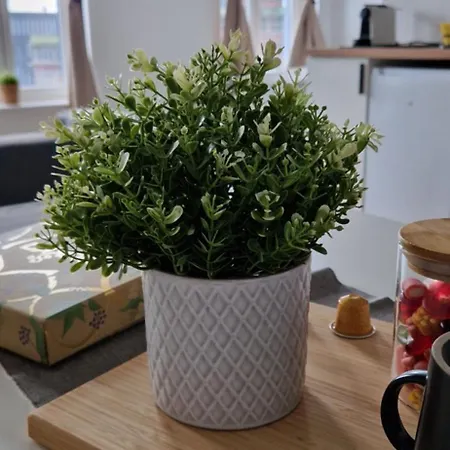 Апартаменты Cozy *